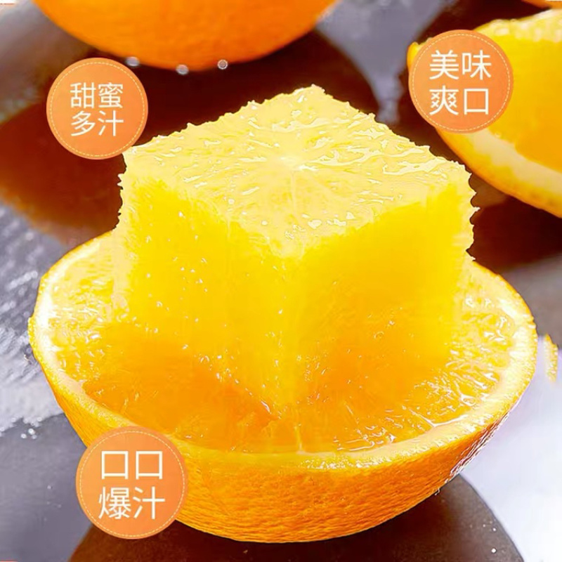 【走量】纽荷尔脐橙长虹脐橙普脐实地看货