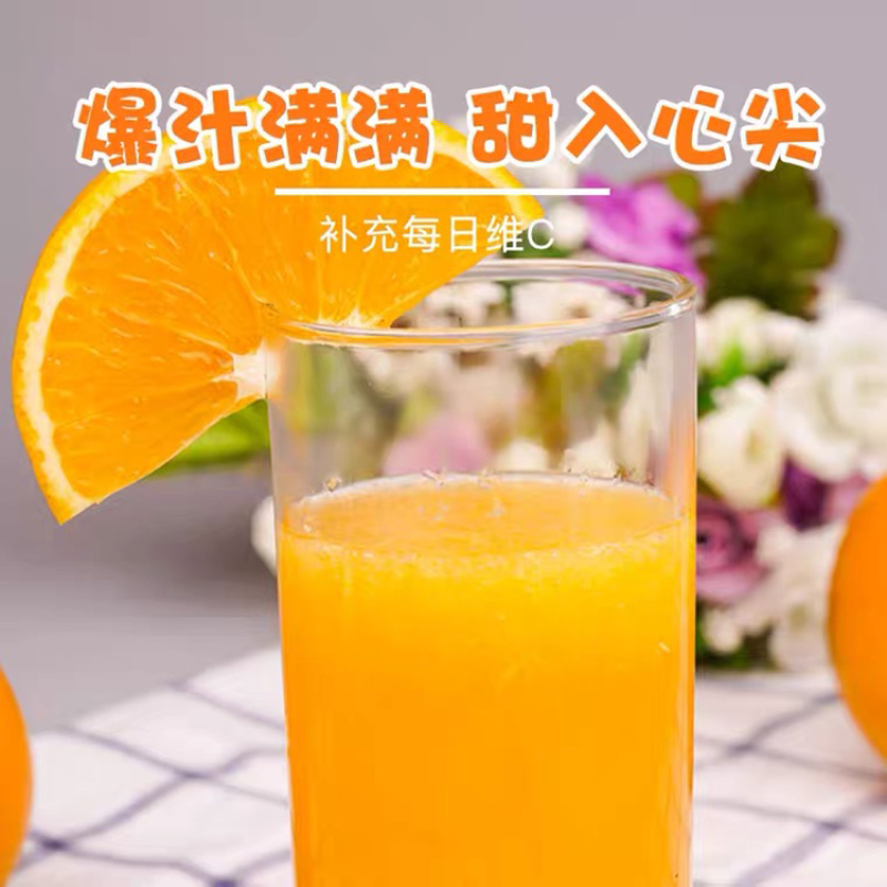 【走量】纽荷尔脐橙长虹脐橙普脐实地看货