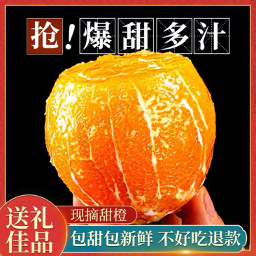 【走量】纽荷尔脐橙长虹脐橙普脐实地看货