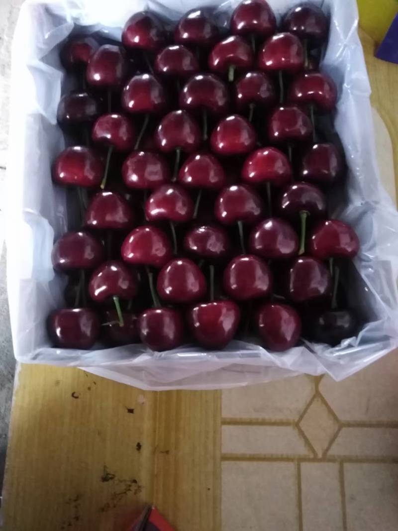 陕西樱桃大量上市早大果美早红灯布鲁克斯沙米托