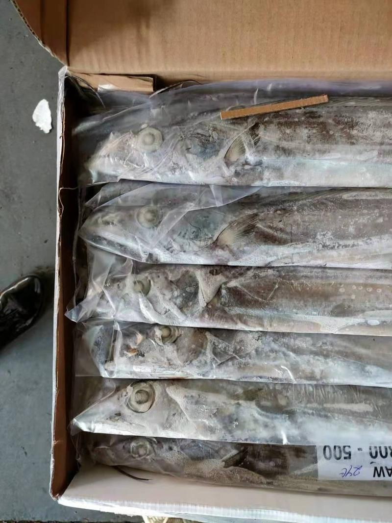 印尼钓带鱼，冷链物流发送全国各地