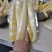 原始森林！莽山野生苦笋！