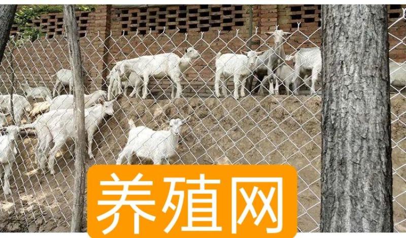 养殖设备镀锌养殖网围栏网养鸡鸭鹅勾花网养殖牛羊猪圈地果园