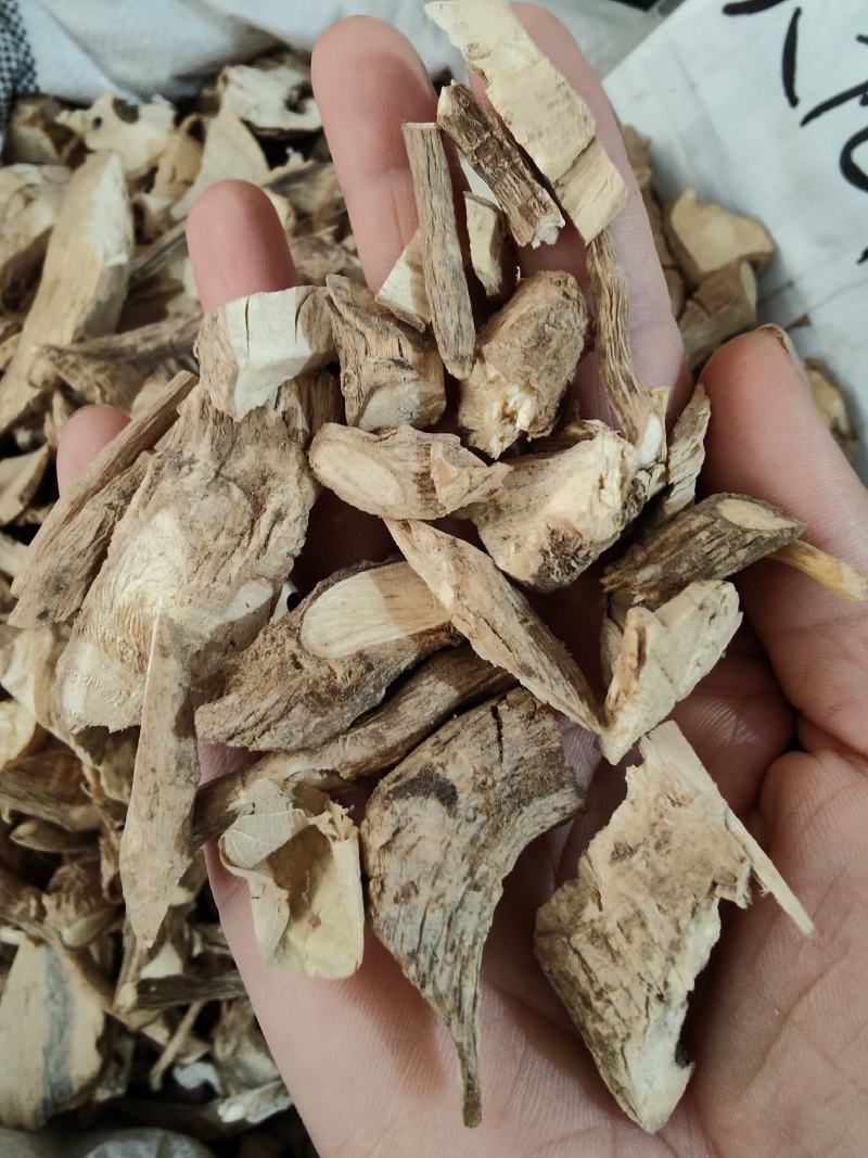 野生黄花倒水莲倒吊黄根黄花大远志观音串阴枝