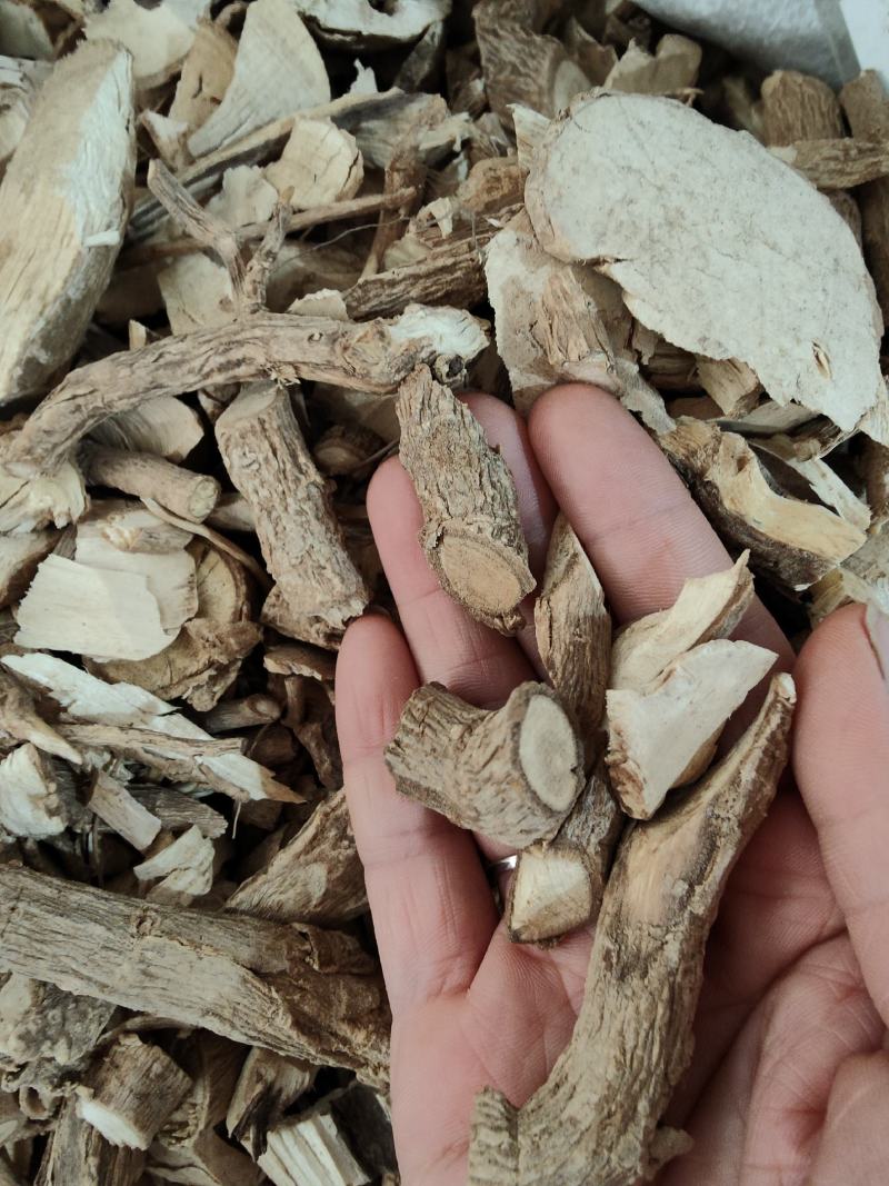 野生黄花倒水莲倒吊黄根黄花大远志观音串阴枝