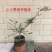 澳洲手指柠檬苗澳洲血柠苗嫁接苗柠檬中的鱼子酱
