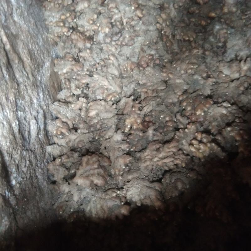 福建建宁县洞姜可来电咨询，目前有50万斤左右