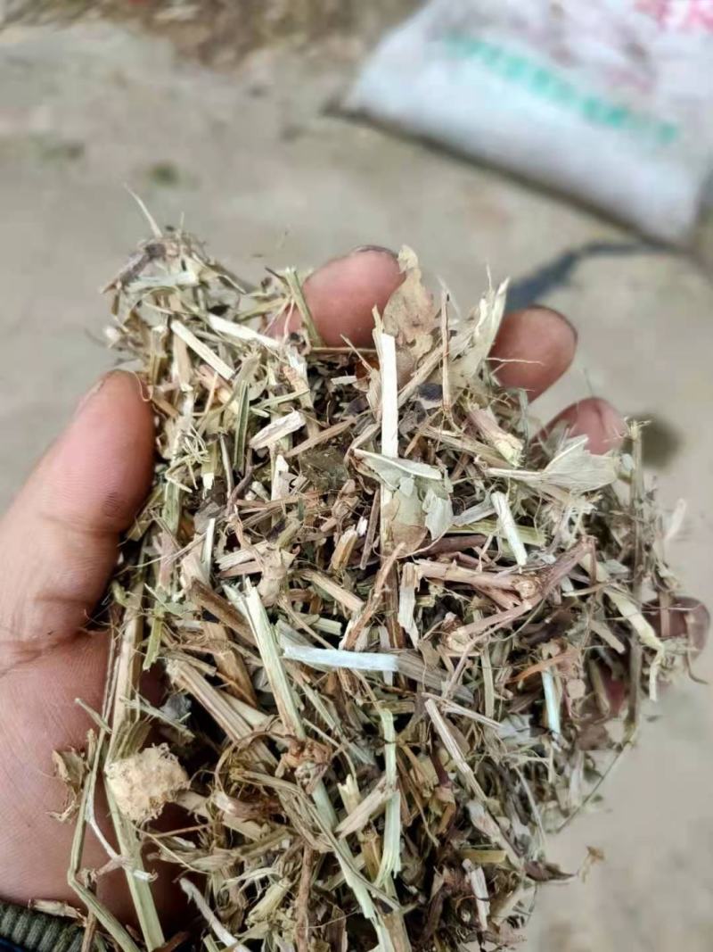 花生秧货源充足全国供应欢迎选购咨询