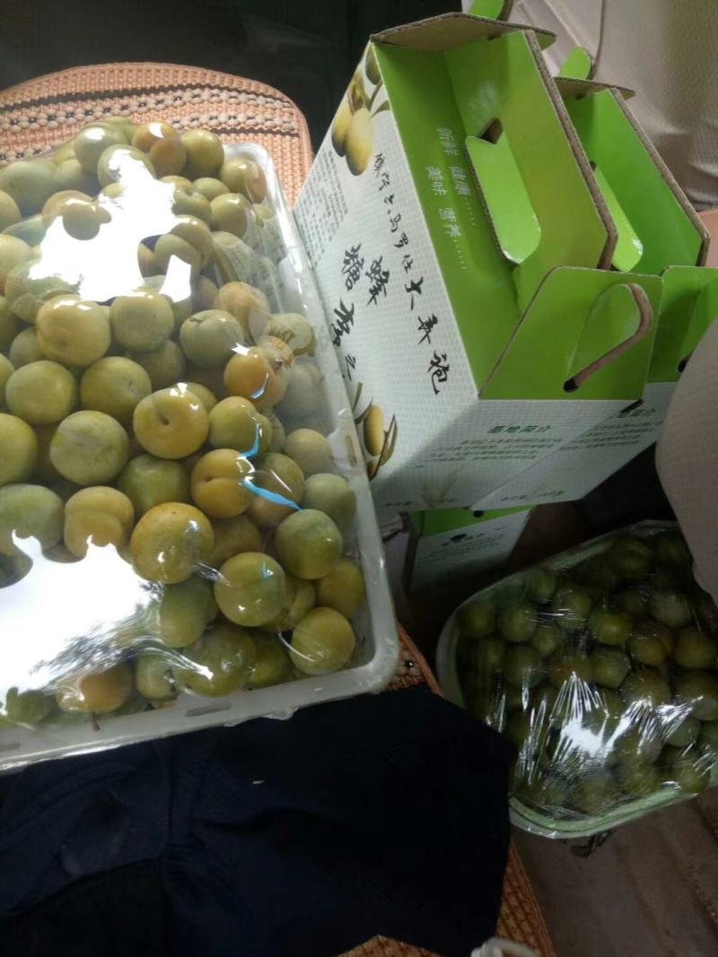 贵州镇宁大弄袍原产地蜂糖李直发