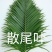 海南叶材（海南叶材基地