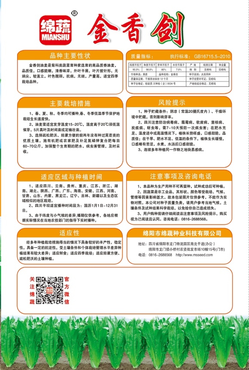 金香剑油麦/绵蔬种业/油麦菜种子/叶菜/大株香油麦/种子