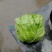 甘篮