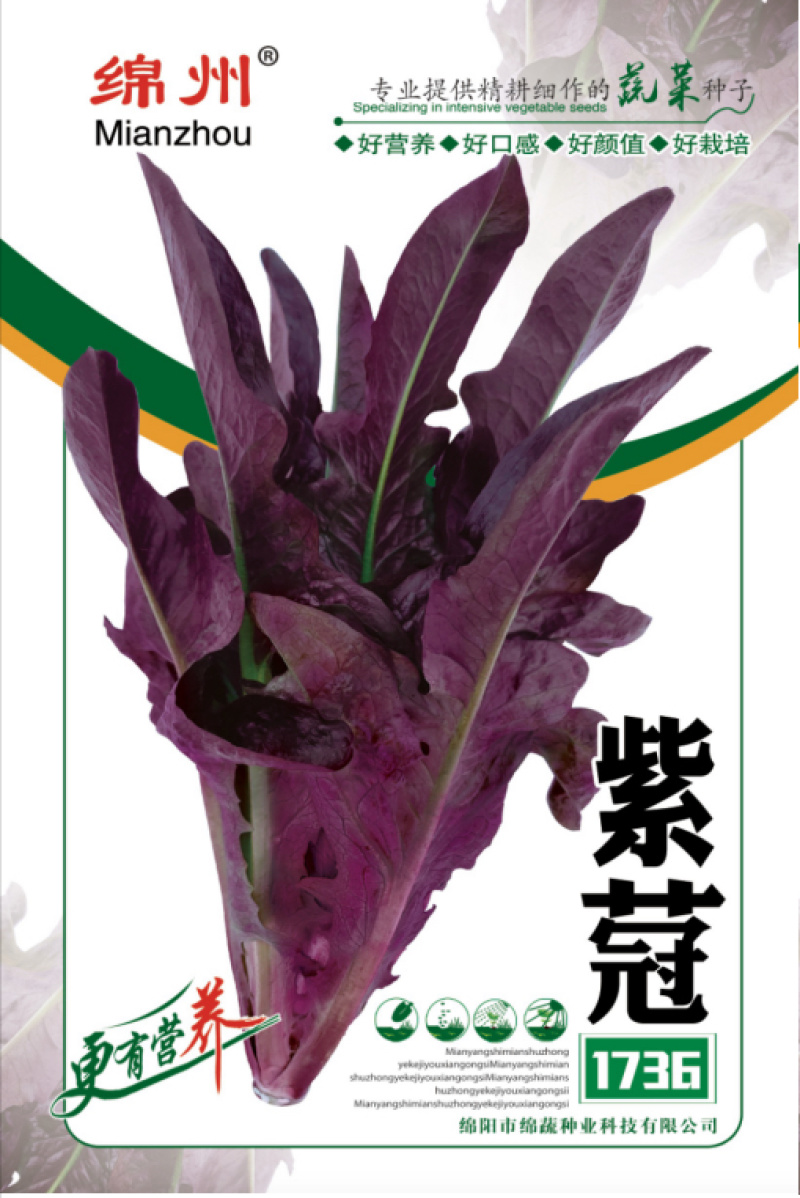 绵蔬紫蒄1736生菜/生菜种子/紫叶生菜种子/叶菜种子