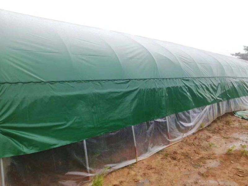 大棚膜养殖专用抗老化黑白绿白膜2-18米宽包邮！