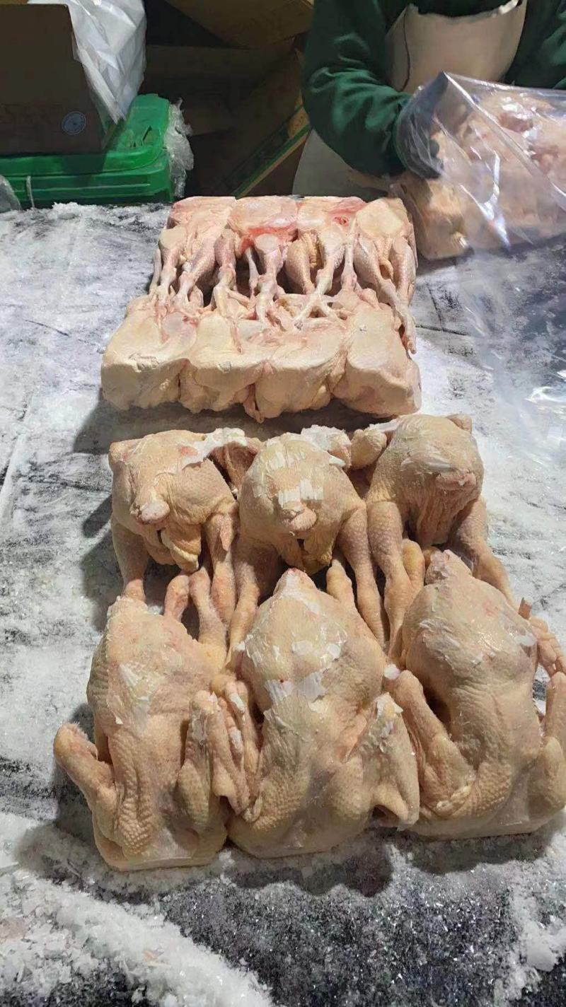 三黄鸡