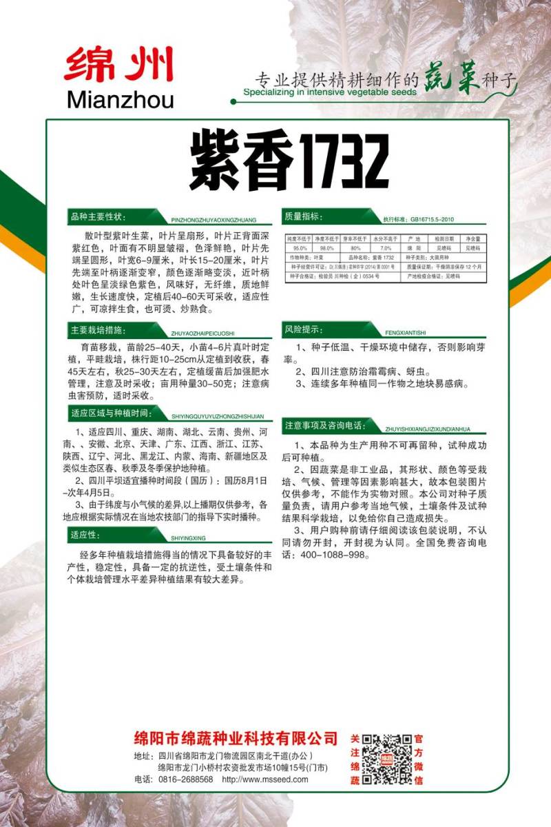 紫香1732/绵蔬/生菜种子/紫色生菜种子/叶菜种子