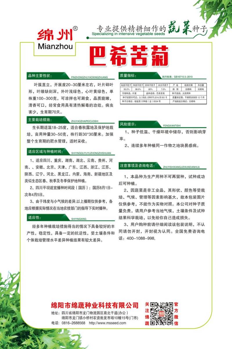 巴希苦菊绵蔬/生菜种子/蔬菜种子/叶菜种子