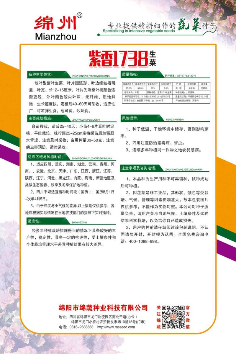 绵蔬紫香1738/生菜种子/紫色生菜种子/叶菜种子