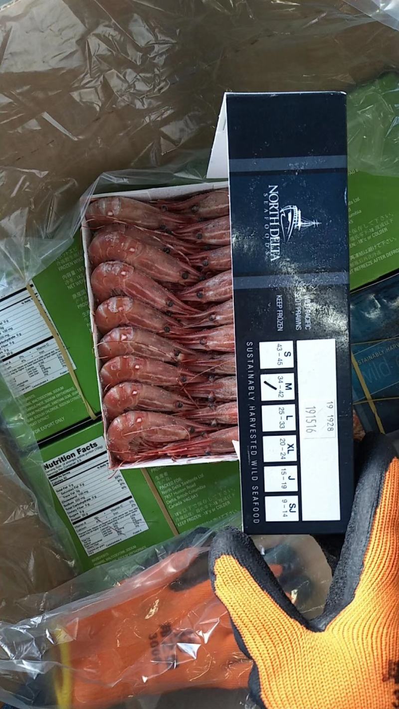 加拿大进口帆船牡丹虾20/24，25/33