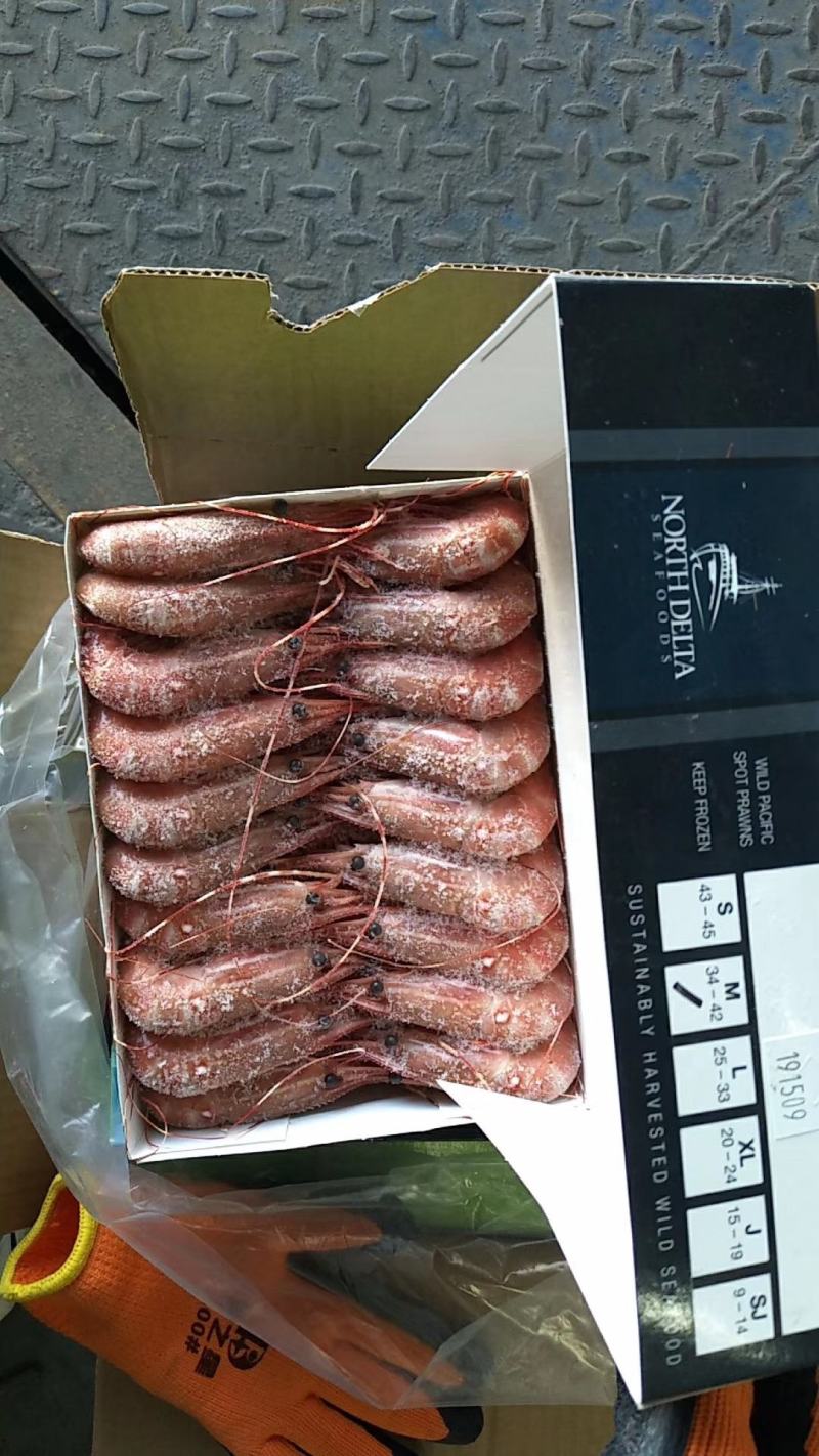加拿大进口帆船牡丹虾20/24，25/33