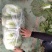 黄心大白菜，上市中，基地直发，欢迎订购。