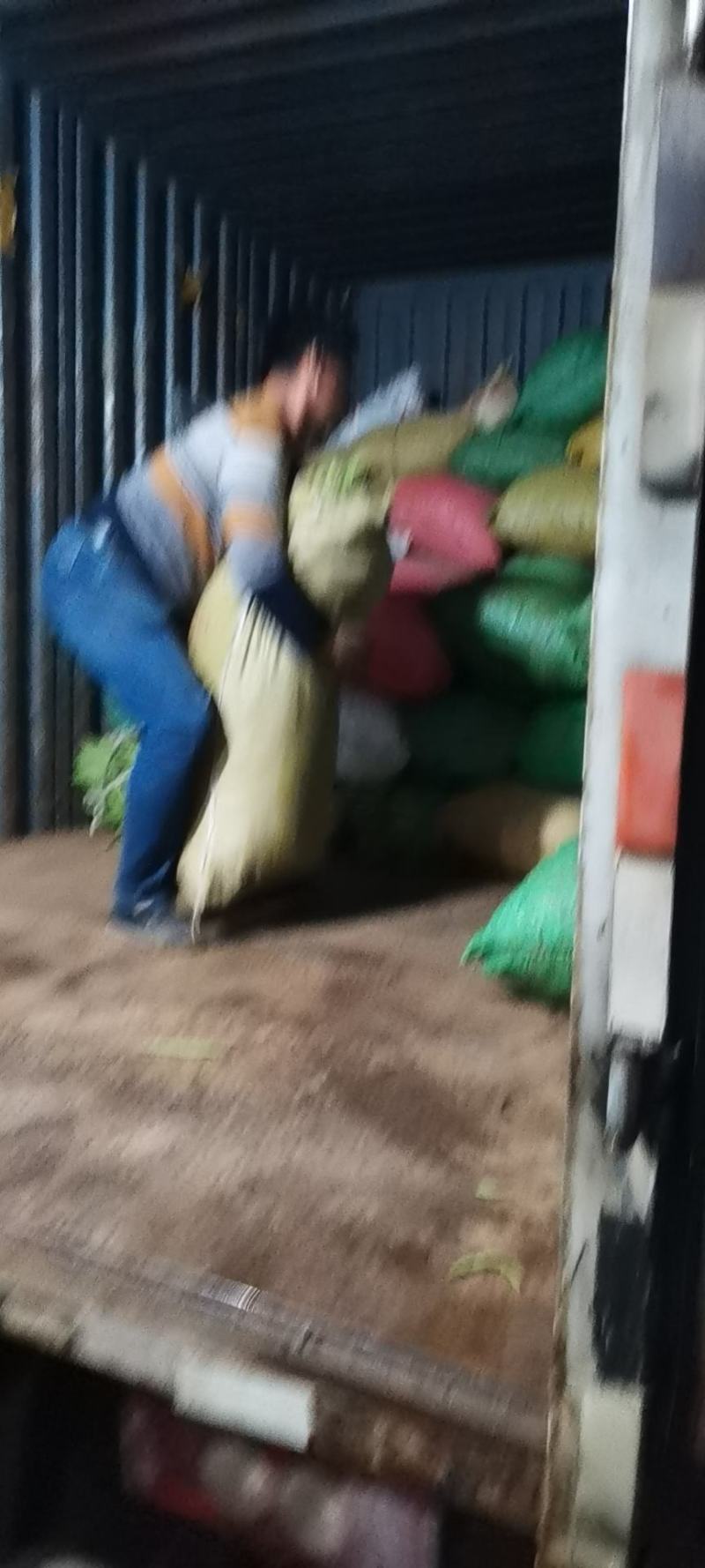 山东省聊城市莘县蔬菜产地供应