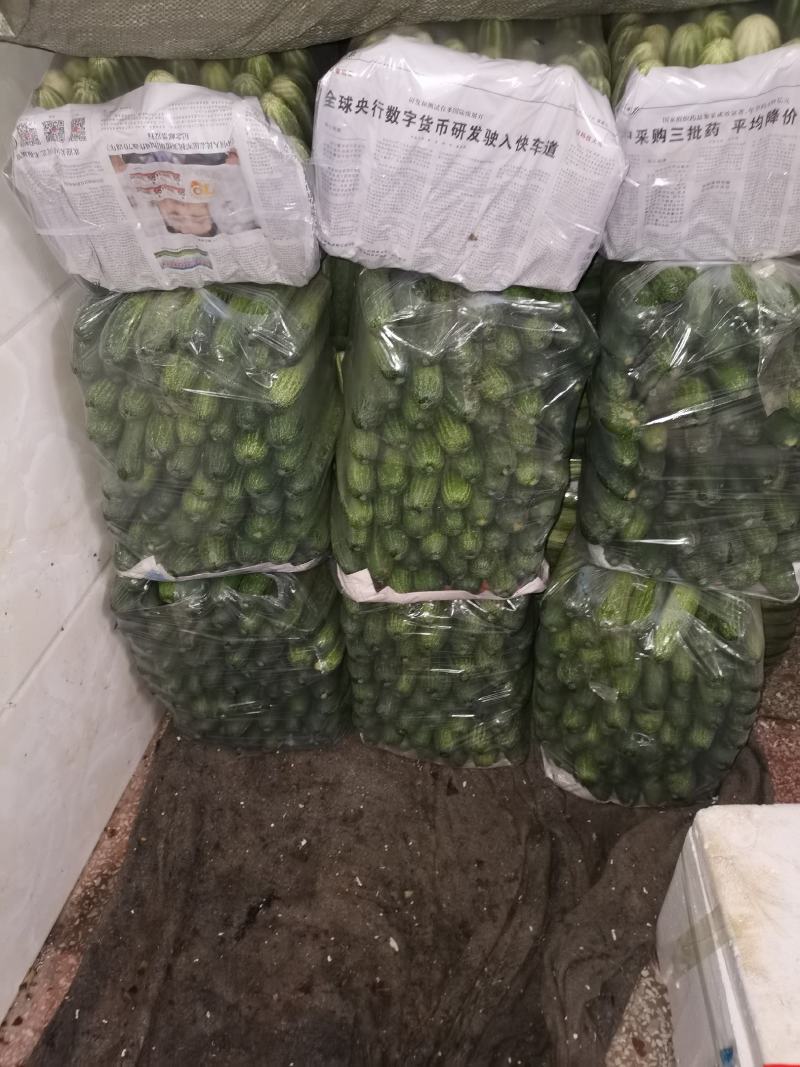 广西产地新鲜旱黄瓜干花带刺大量上市诚信经营