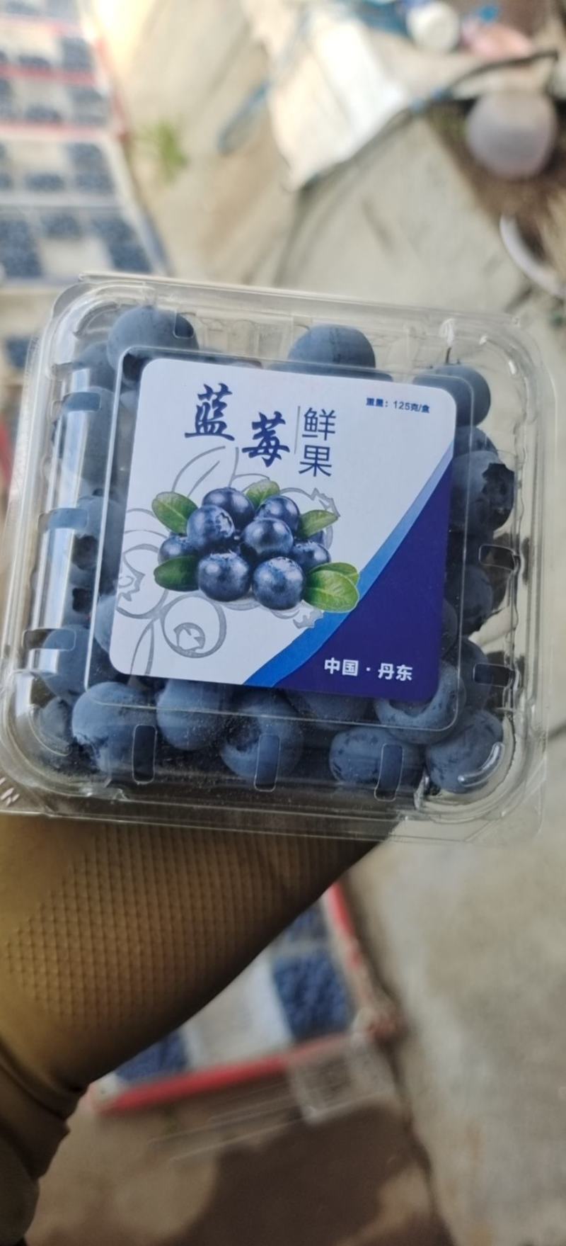 丹东蓝莓