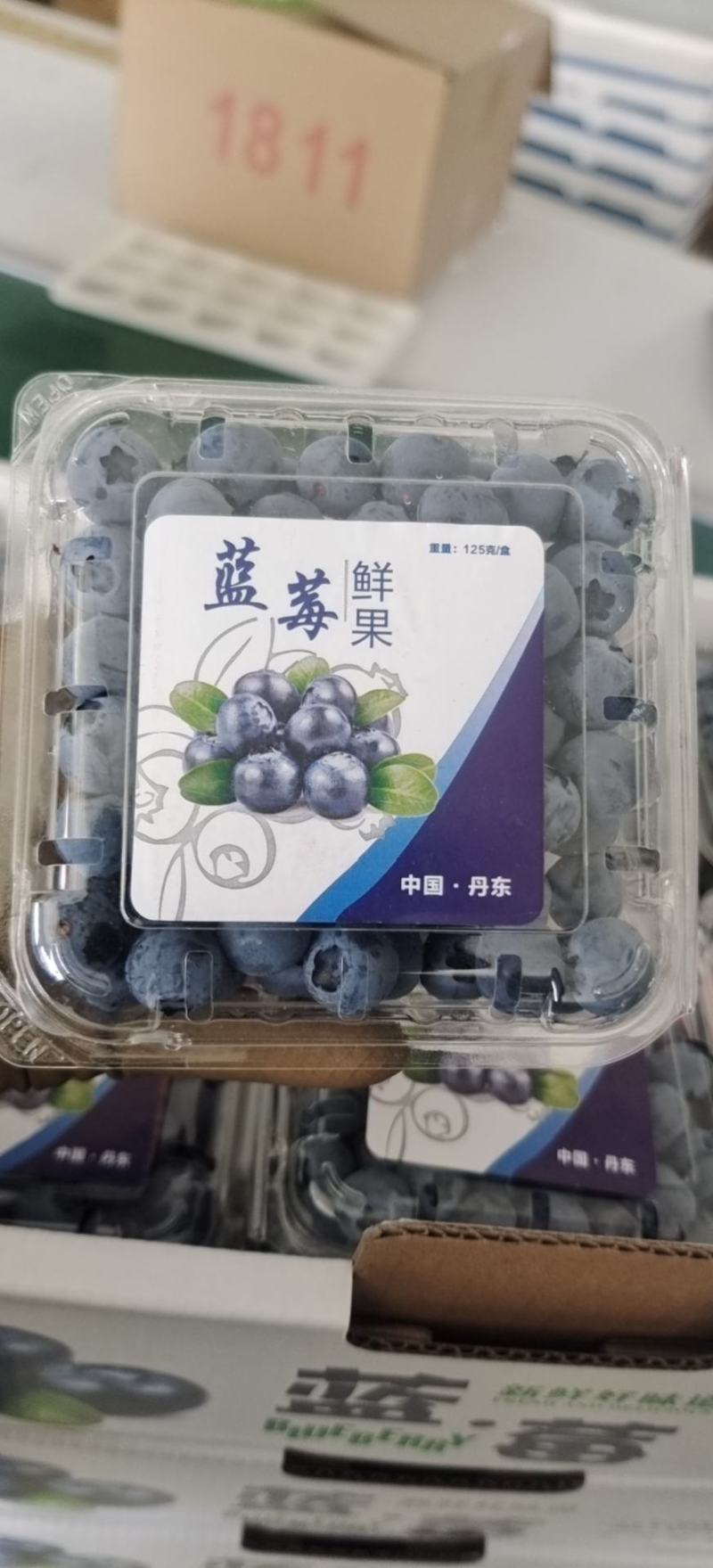 丹东蓝莓