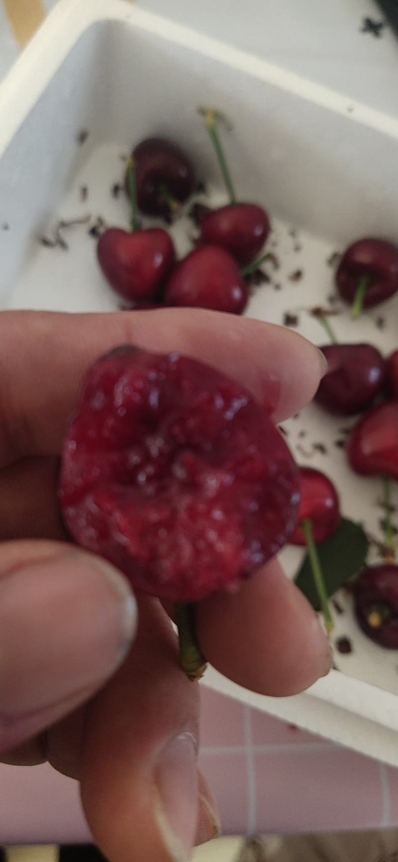 大连樱桃
