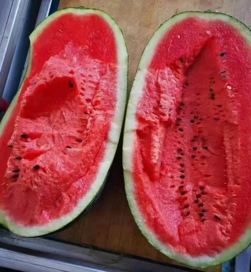 万亩黑美人西瓜基地对接各大电商商超社区团购