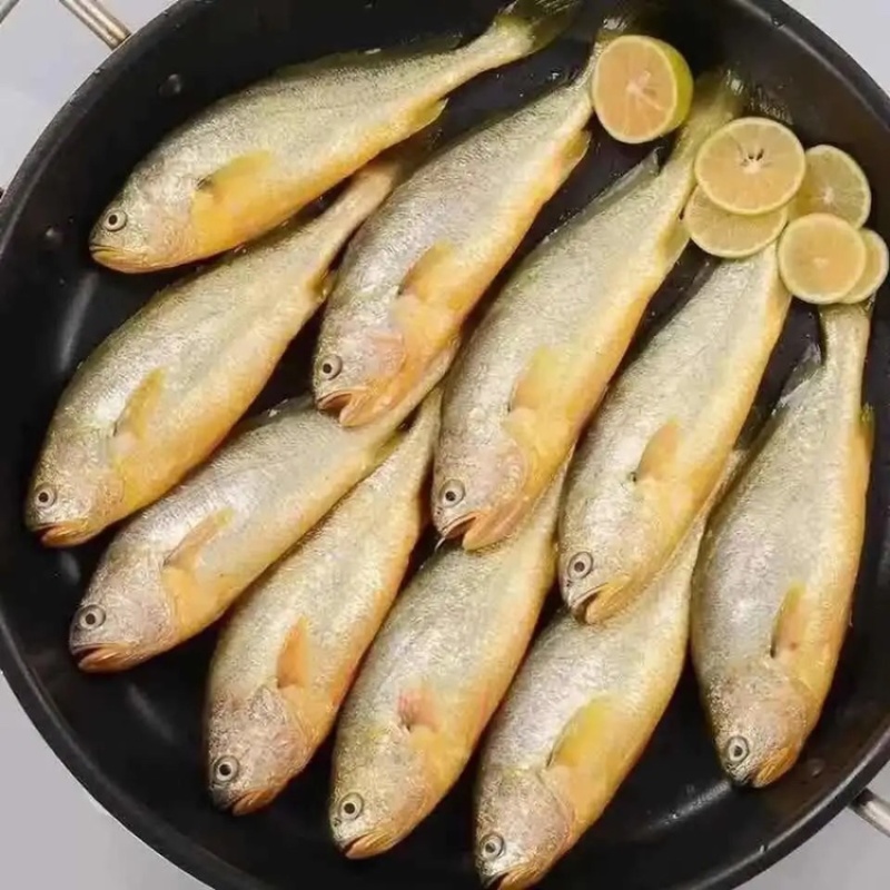 小黄花鱼新鲜美味黄鱼海鱼冰冻海鲜水产黄鱼小黄鱼