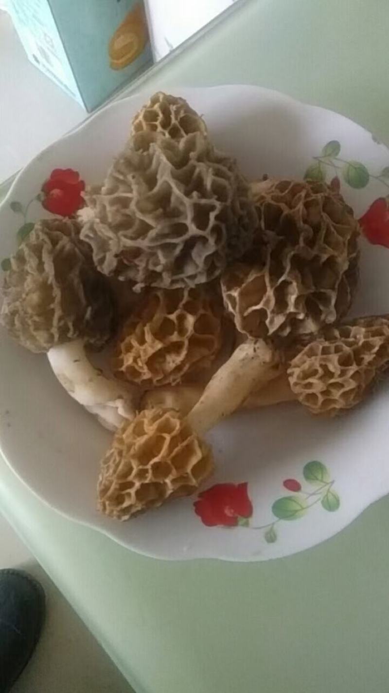 深山野生羊肚菌