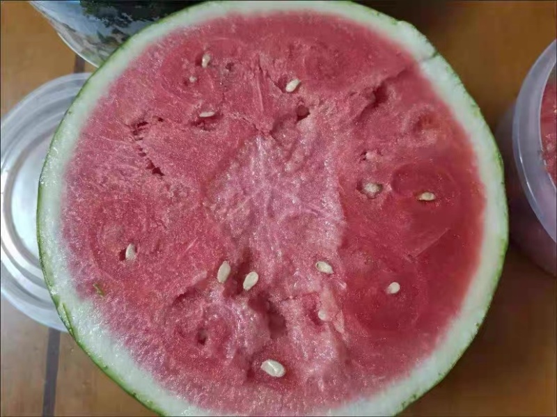 西瓜之乡苏北西瓜产地直发一手代办