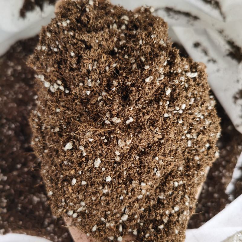瓜菜育苗基质H60蔬菜草莓基质，进口泥炭进口椰糠