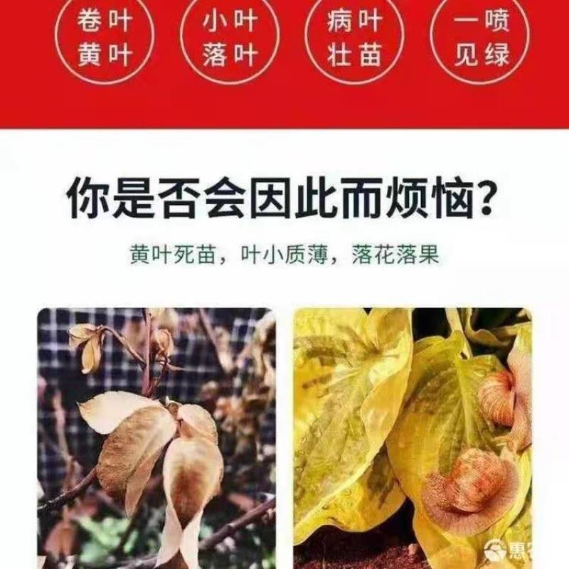 水溶肥料氨基酸，强力生根，壮秧膨果。舔加螯合态微量元