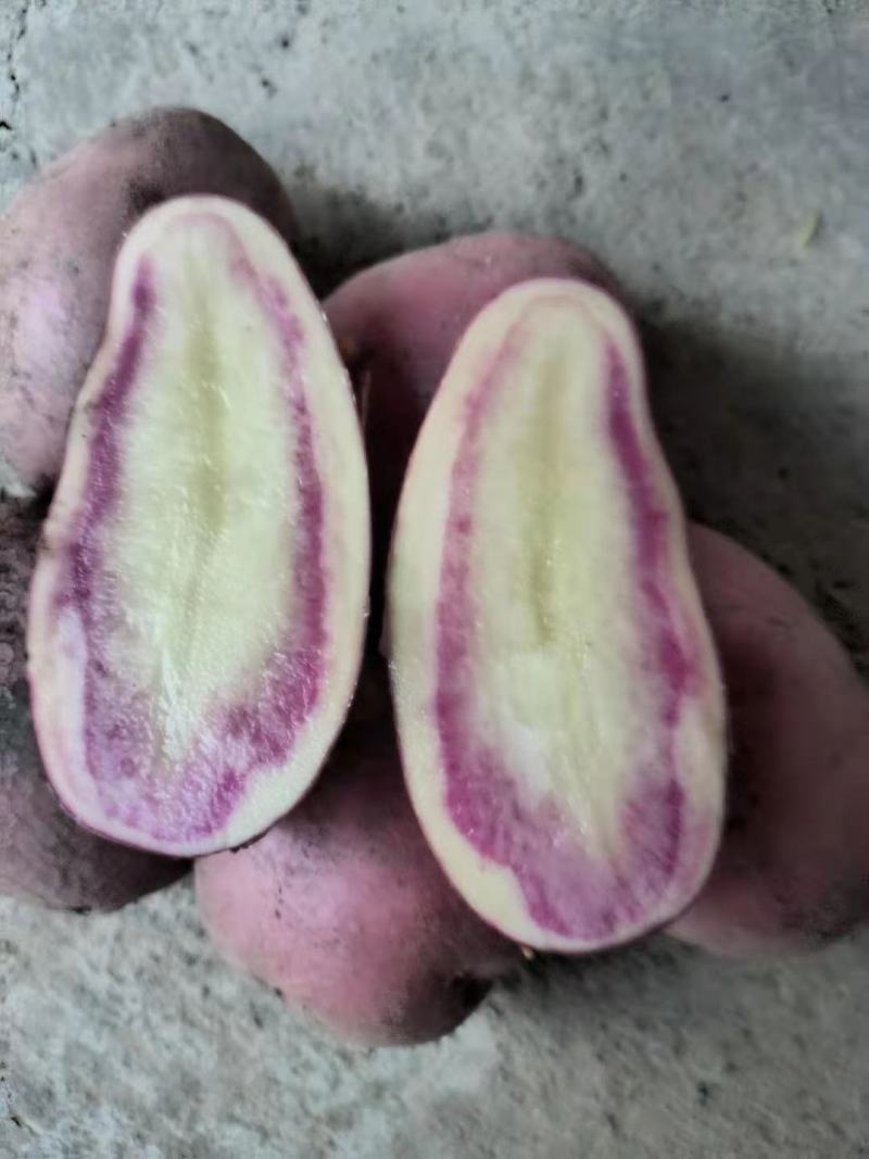 土豆青薯、丽薯