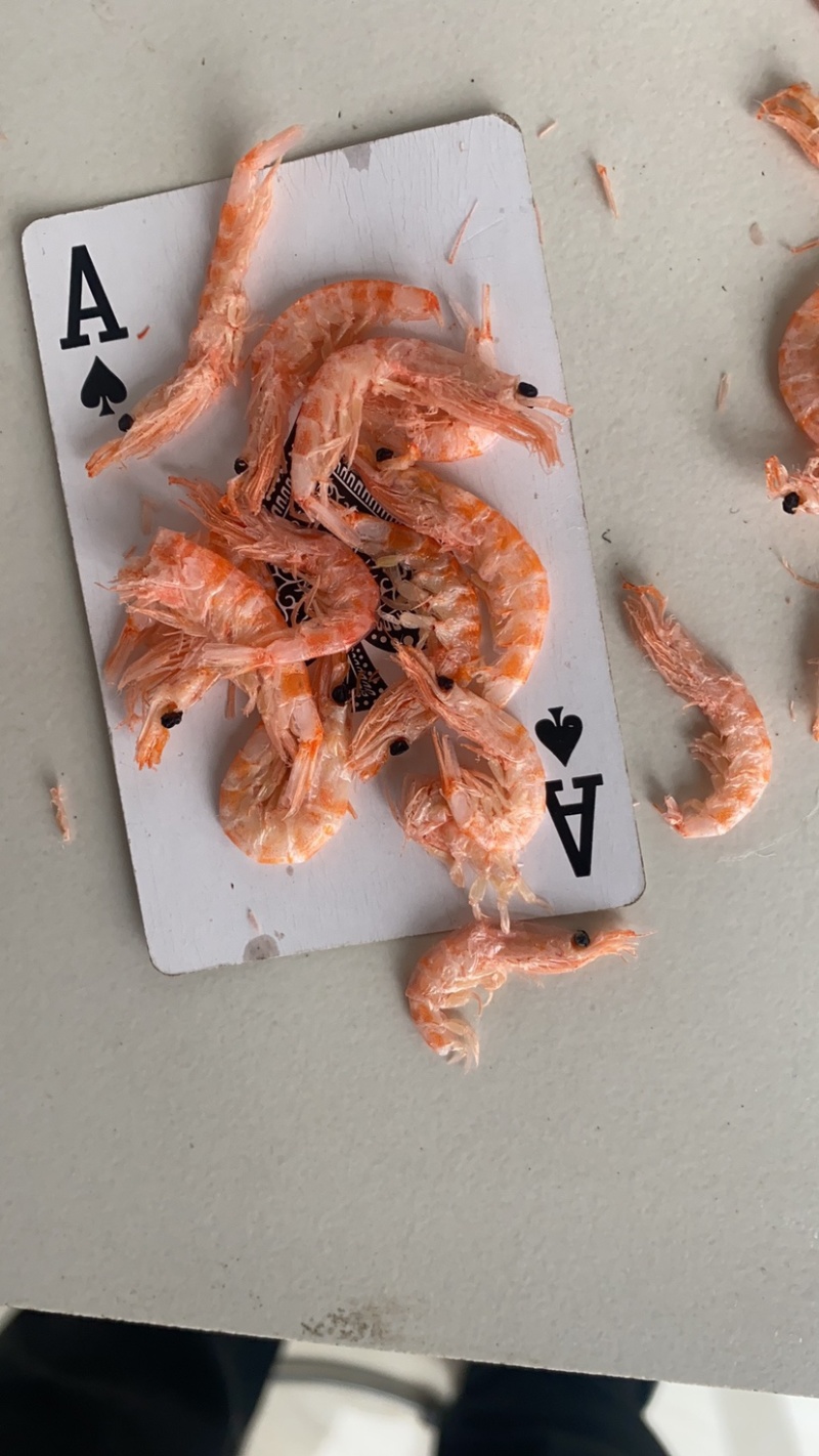 【优选】磷虾南极磷虾电商专供厂家直销手续齐全欢迎来电合作！