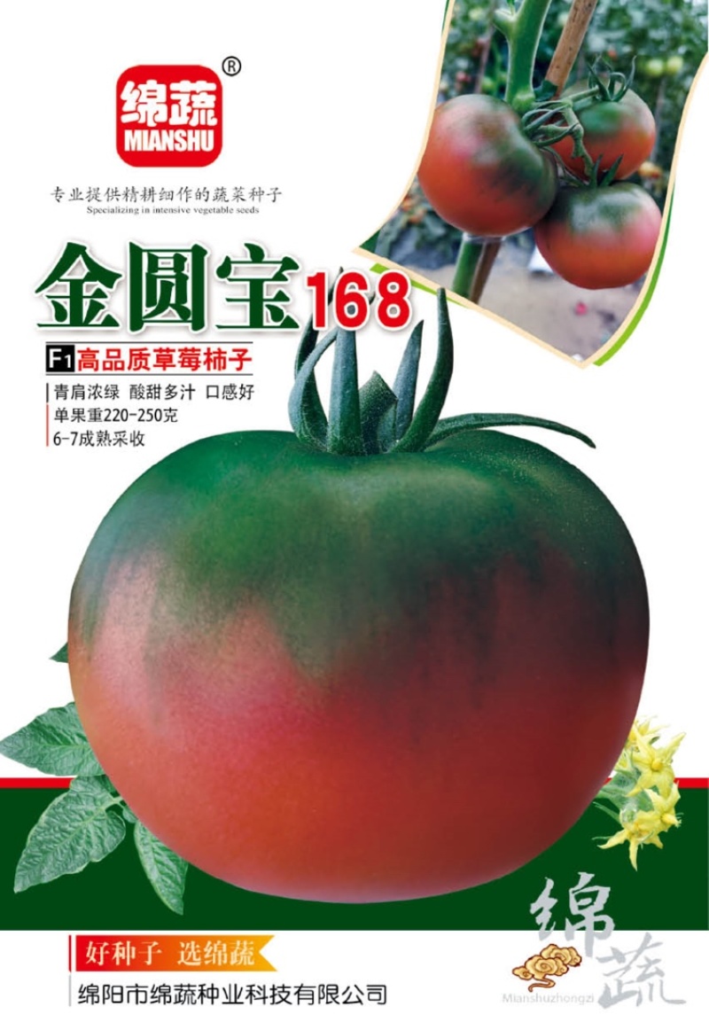 金圆宝168/草莓柿子/铁皮柿子/草莓番茄/番茄种子