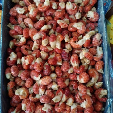 龙虾尾御颢特级龙虾尾质量保证