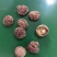 河南优选香菇新鲜干货成品菇厚菇基地直供