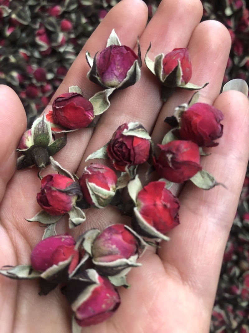 金边玫瑰，云南金边玫瑰，干货，新货，头茬货，金边玫瑰