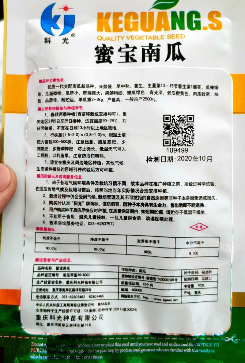 蜜本南瓜种子形状好味道佳