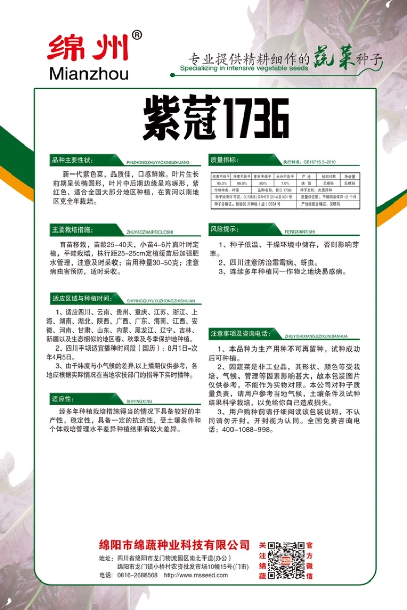绵蔬紫蒄1736生菜/生菜种子/紫叶生菜种子/叶菜种子
