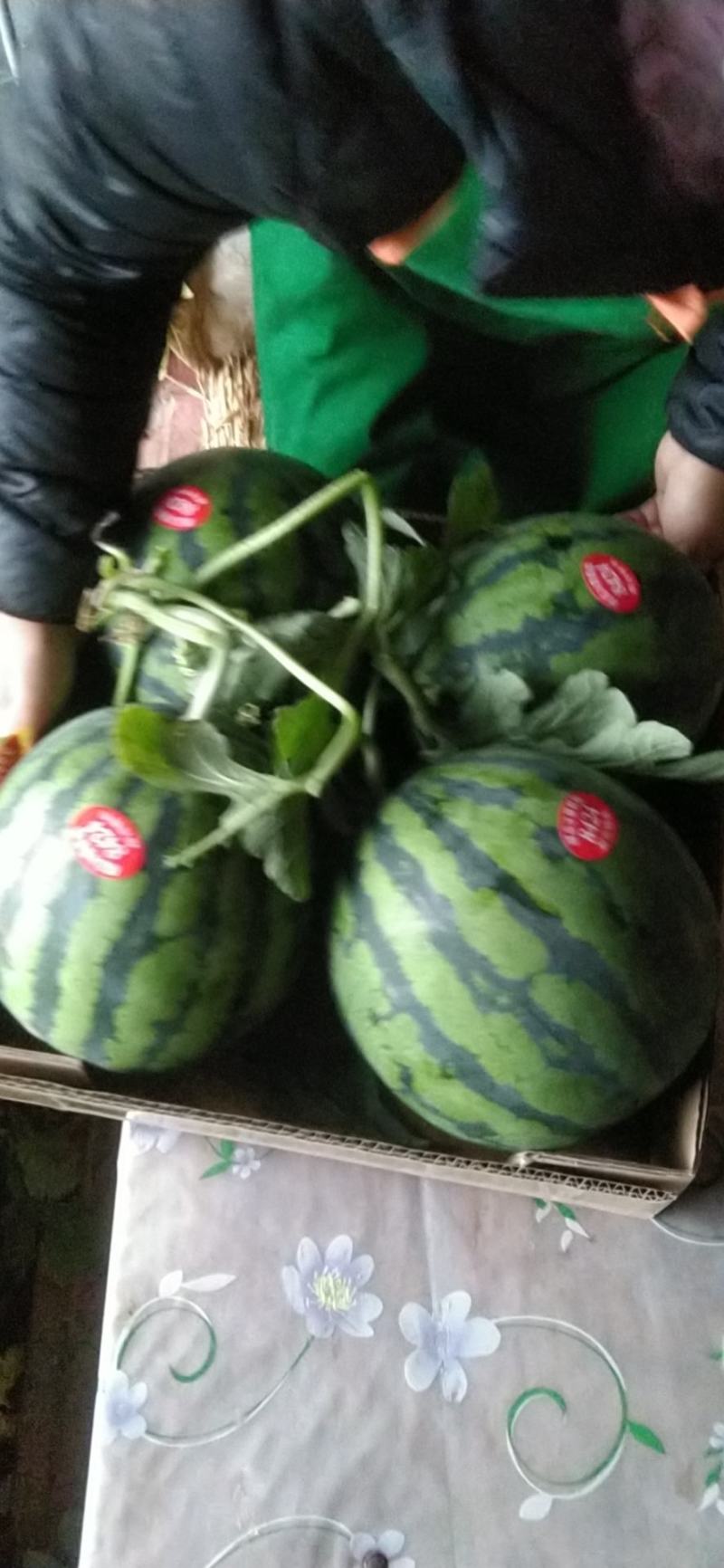 山东聊城甜王西瓜，精品甜王。