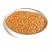落叶松树种子松科荒山造林和森林更新的主要树种易活落叶乔木