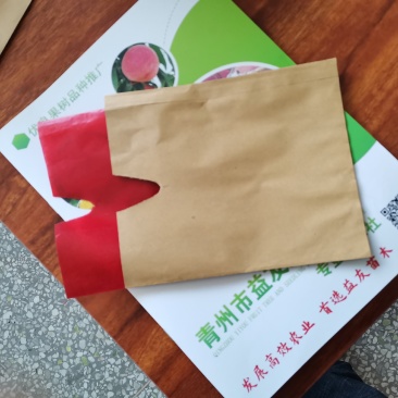 桃袋，苹果袋
