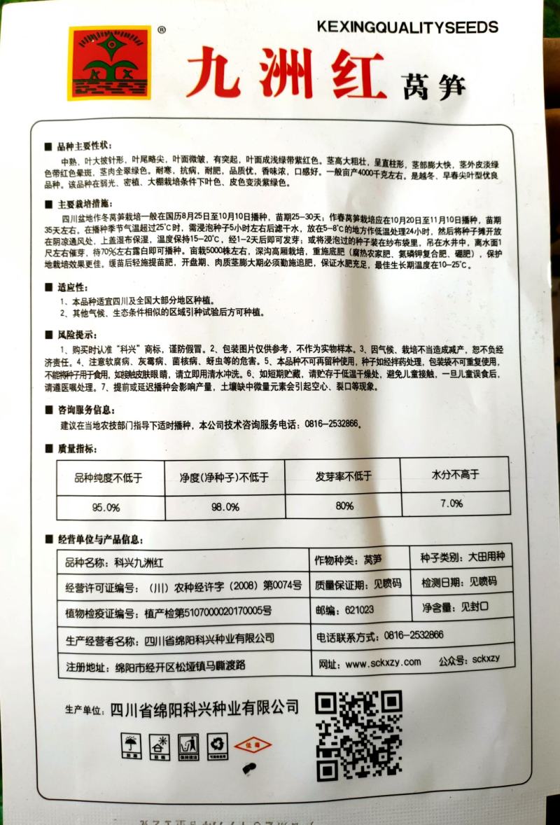 莴笋种子耐寒莴笋种子红尖叶莴笋种子红皮莴笋种子