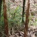 苦笋苦笋苦笋苦笋苦笋