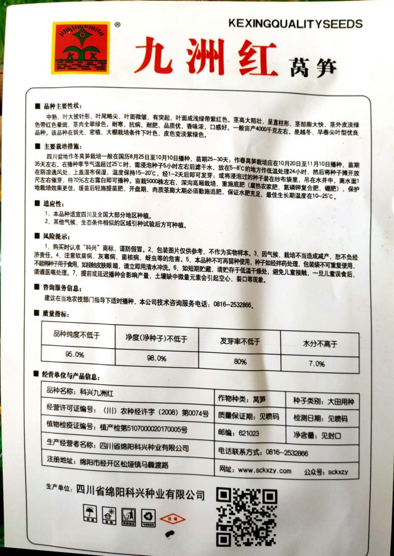 莴笋种子耐寒莴笋种子红尖叶莴笋种子红皮莴笋种子